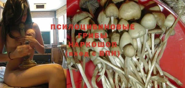 mdma Гусев