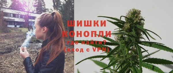 spice Гусиноозёрск