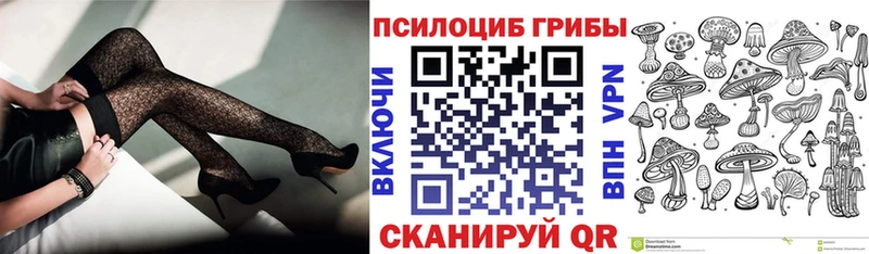 Псилоцибиновые грибы GOLDEN TEACHER  Западная Двина 